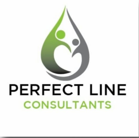 https://www.mncjobsgulf.com/company/perfectlineconsultants