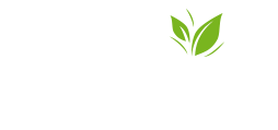 https://www.mncjobsgulf.com/company/shamiya-international-catering-company