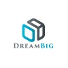 https://www.mncjobsgulf.com/company/dreambig-it-solution