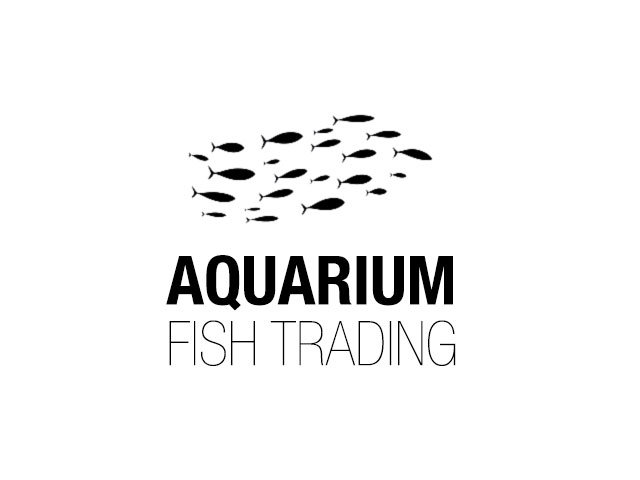 https://www.mncjobsgulf.com/company/aquarium-fish-trading-1679297977