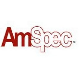 https://www.mncjobsgulf.com/company/amspec-group-llc