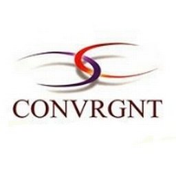 https://www.mncjobsgulf.com/company/convrgnt-value-engineering-llc