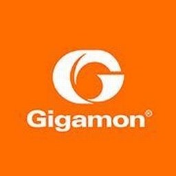https://www.mncjobsgulf.com/company/gigamon