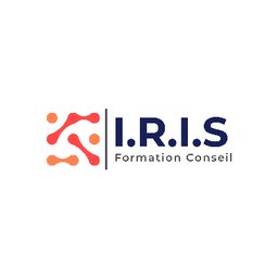 https://www.mncjobsgulf.com/company/i-r-i-s-formation-conseil