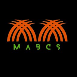 https://www.mncjobsgulf.com/company/mabcsllc