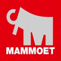 https://www.mncjobsgulf.com/company/mammoet