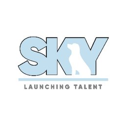 https://www.mncjobsgulf.com/company/sky-services