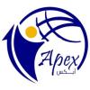 https://www.mncjobsgulf.com/company/apex-dubai