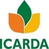 https://www.mncjobsgulf.com/company/icarda
