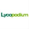 https://www.mncjobsgulf.com/company/lycopodium