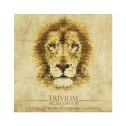 https://www.mncjobsgulf.com/company/trivium-media-group
