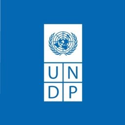 https://www.mncjobsgulf.com/company/united-nations-development-programme