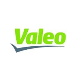 https://www.mncjobsgulf.com/company/valeo