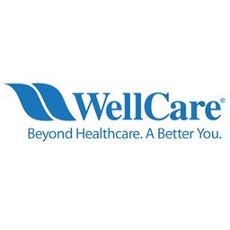 https://www.mncjobsgulf.com/company/wellcare